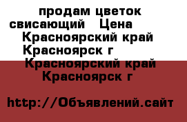 продам цветок свисающий › Цена ­ 150 - Красноярский край, Красноярск г.  »    . Красноярский край,Красноярск г.